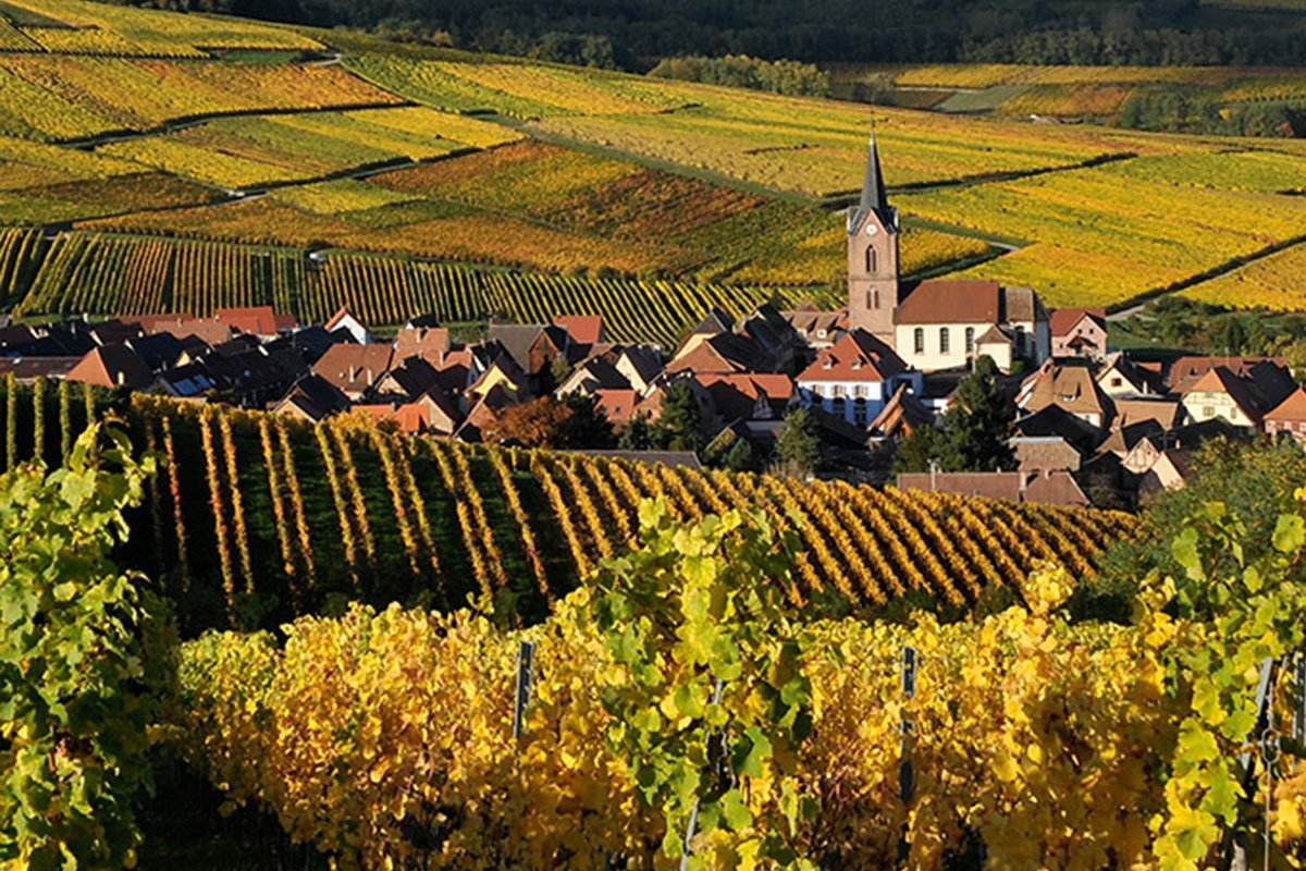 Aula Alsácia vinhos franceses