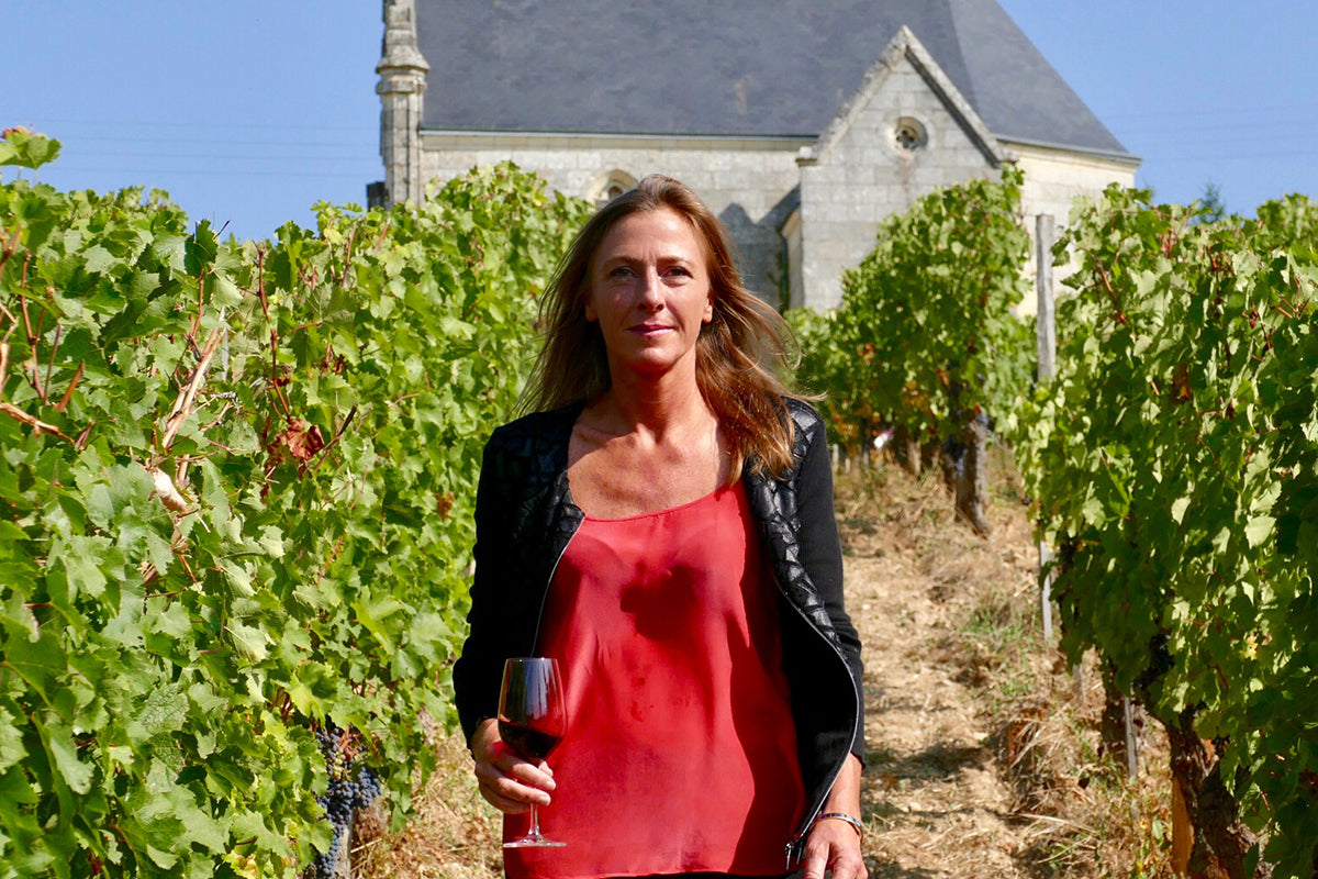 Domaine-Charles-Joguet-vinho-Loire-Chinon