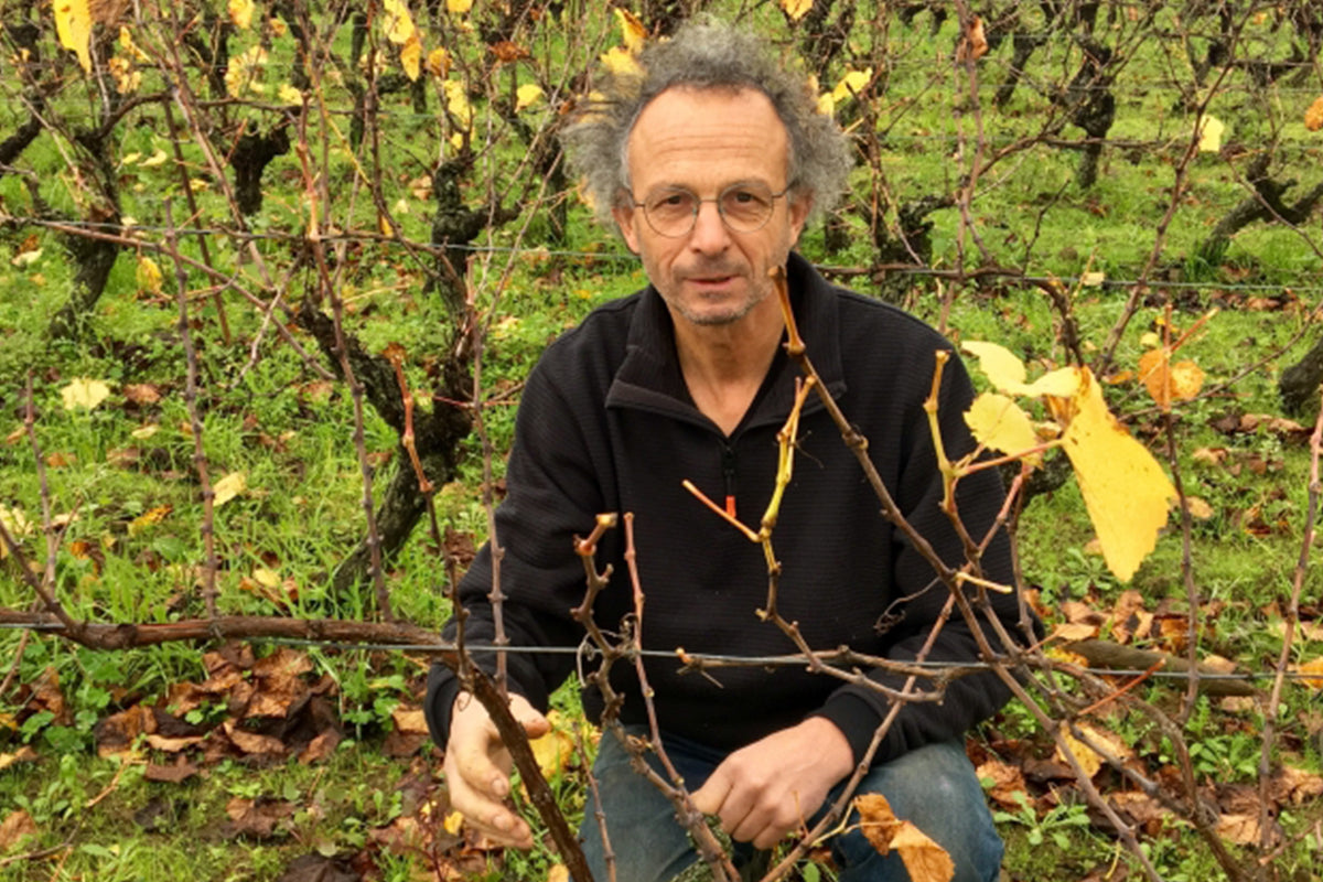 Domaine Vincent Caillé