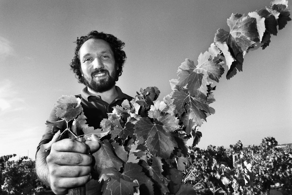 Domaine de Villeneuve