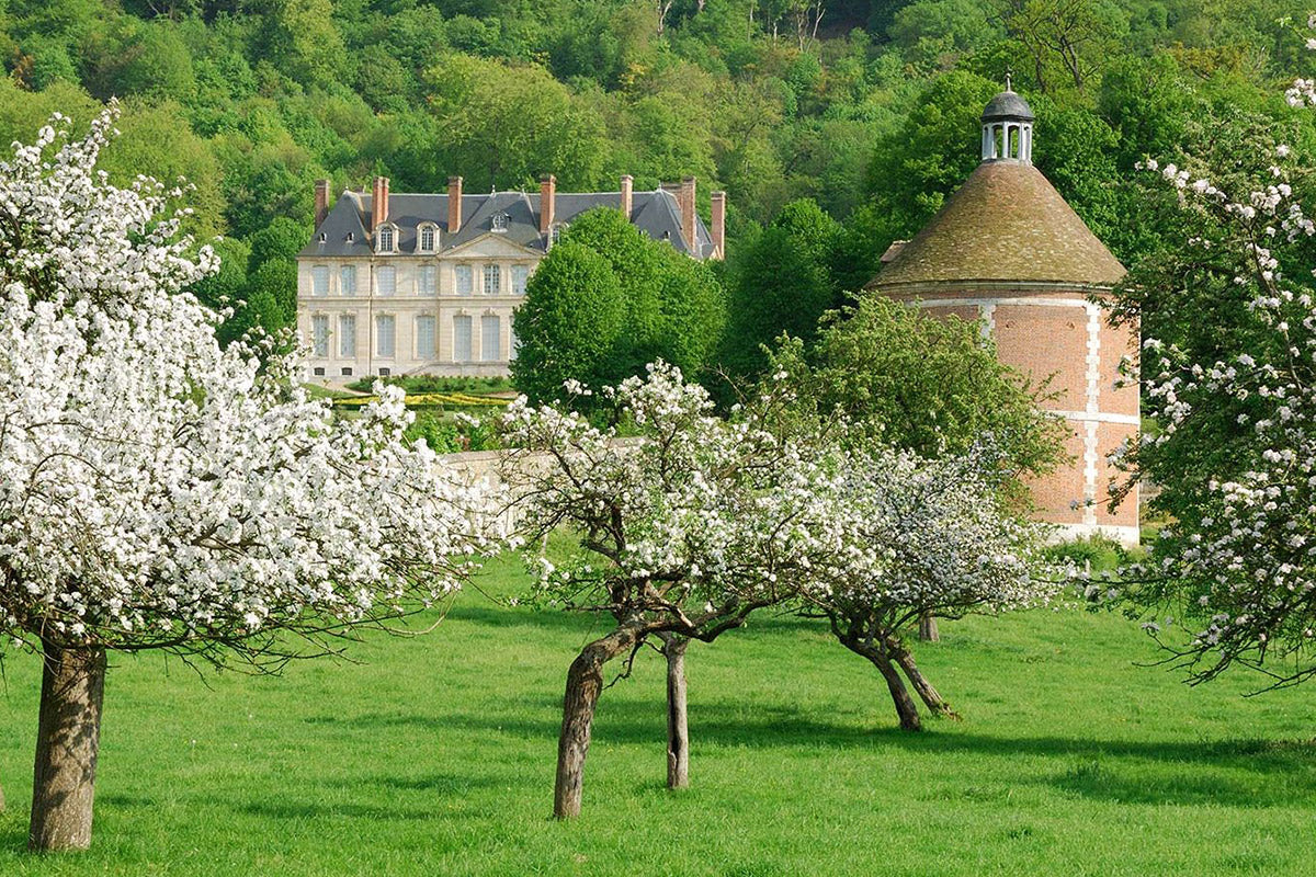 Normandie cidra-sidra-cidre