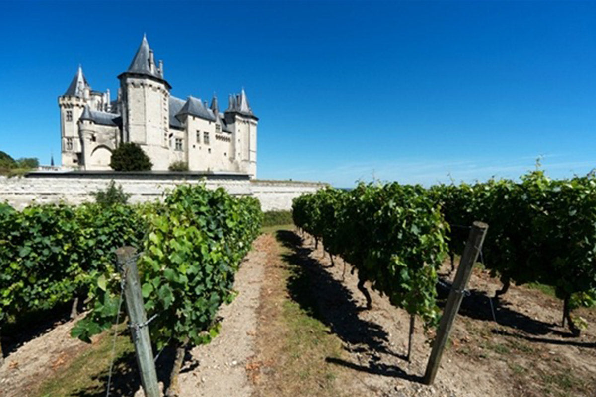 Loire vinhos frances