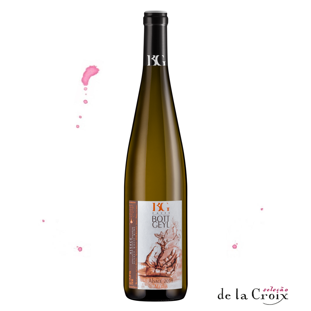 Alsace Métiss, 2022