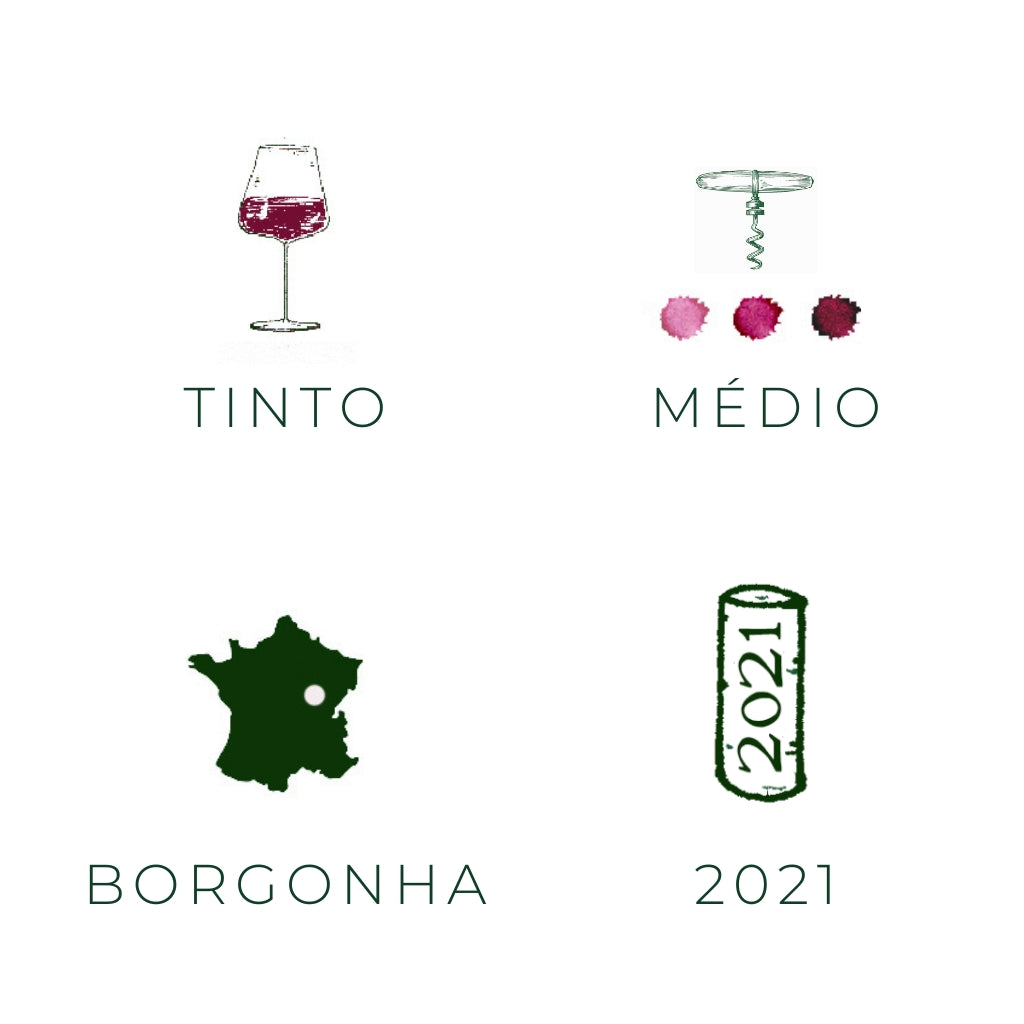 Auxey-Duresses 1er Cru, 2021