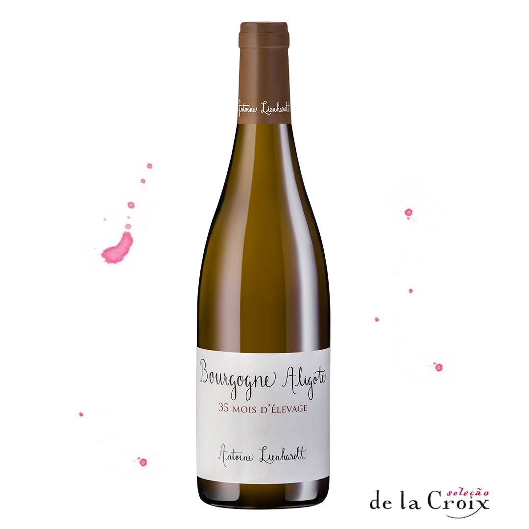 Bourgogne Aligote 35 mois, 2022