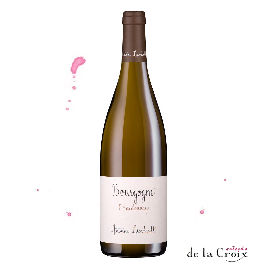 Bourgogne Blanc, 2022