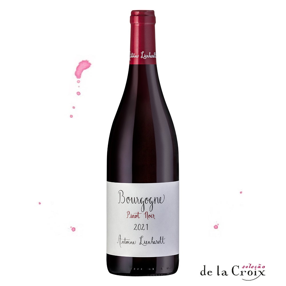 Bourgogne Pinot Noir, 2022