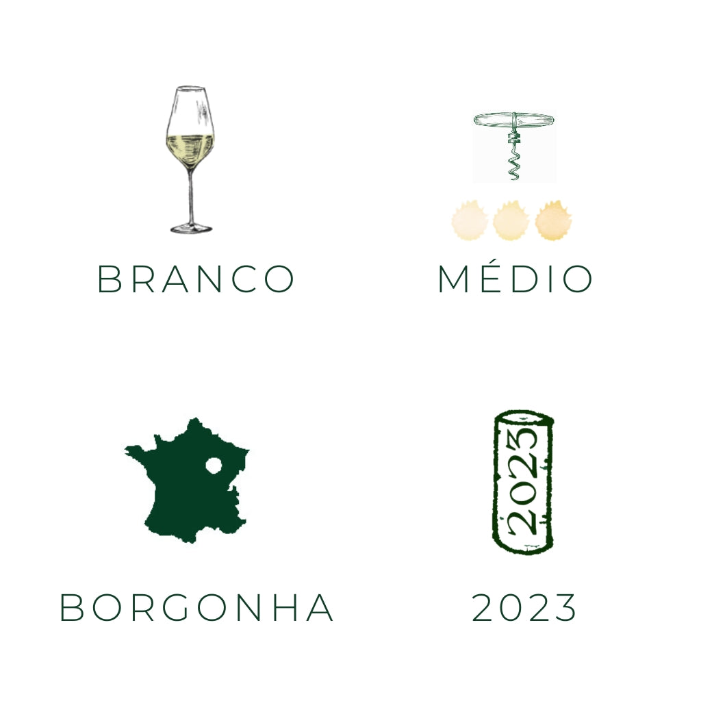 Bourgogne Aligoté, 2023