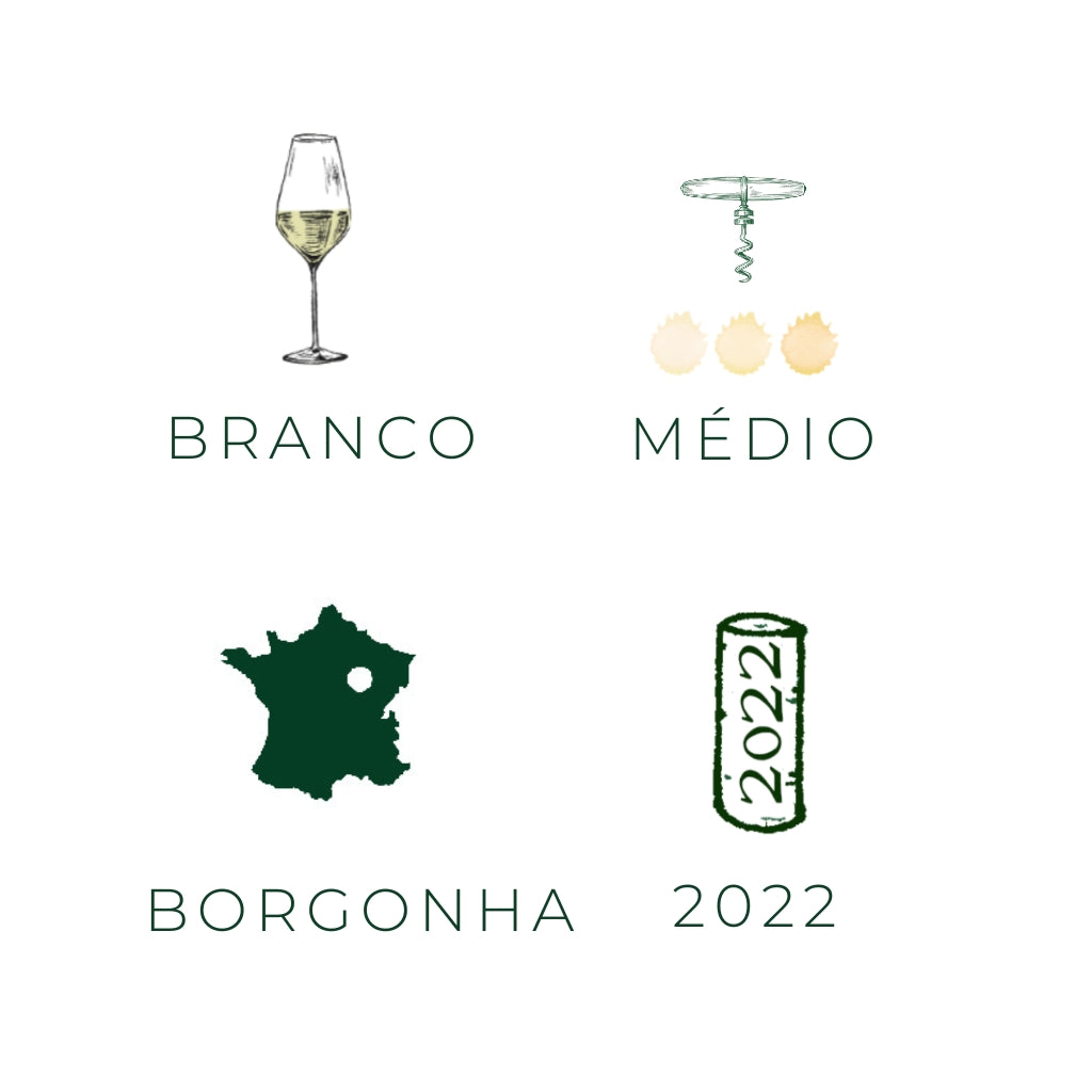 Bourgogne Aligote 35 mois, 2022