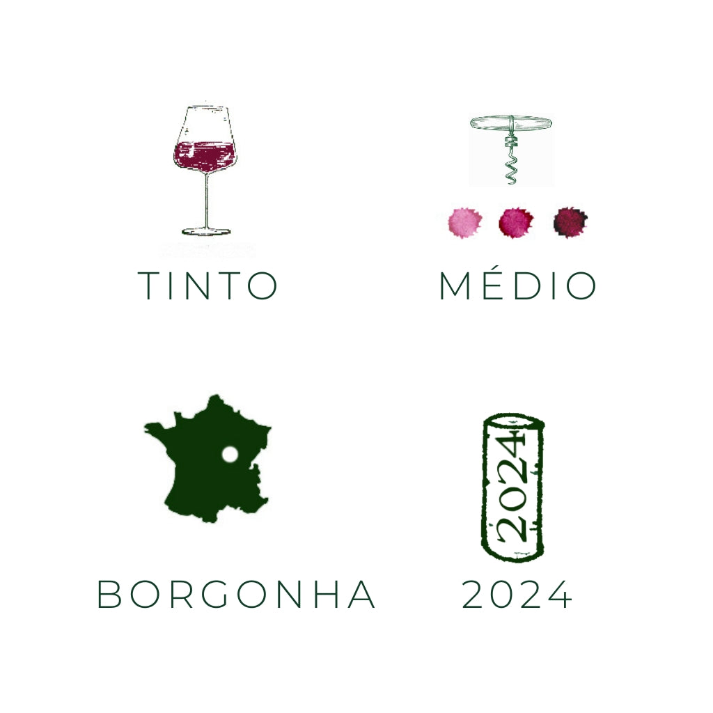 Bourgogne Pinot Noir, 2024