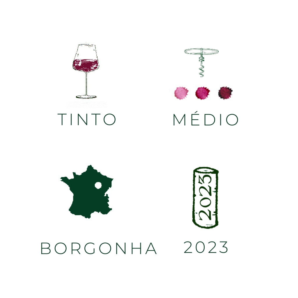 Bourgogne Côte d’Or Pinot Noir Hautes Coutures, 2023
