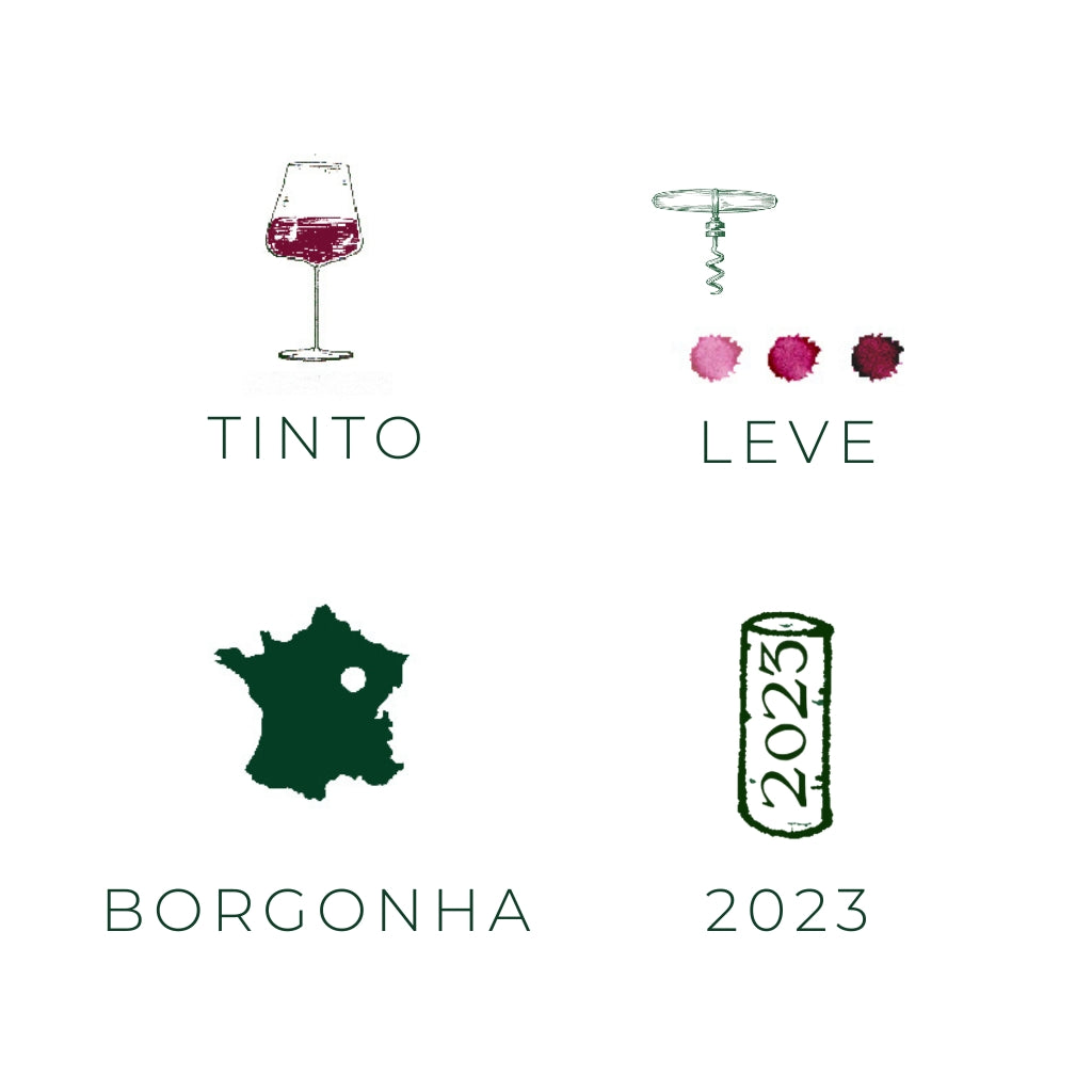 Comte Armand - Bourgogne Rouge, 2023