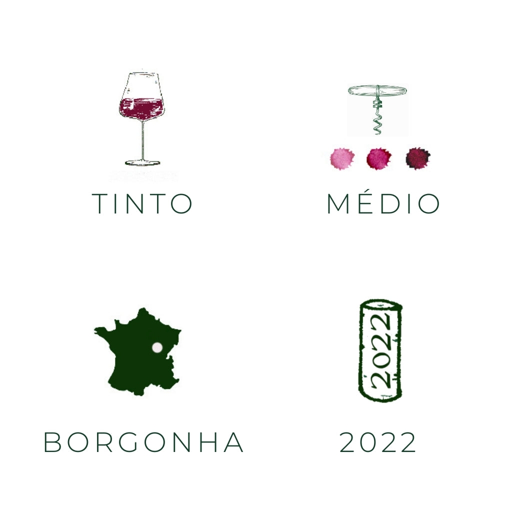 Côte de Nuits Villages &quot;Aux Vignottes&quot;, 2022