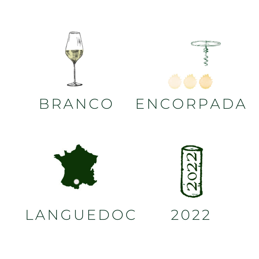 Grande Cuvée Branco, 2019 - Vinho branco - Vinho da França da região Languedoc