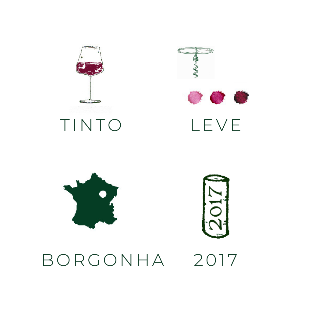 Macon Rouge, 2016 - Vinho tinto - Vinho da França da região Bourgogne Borgonha