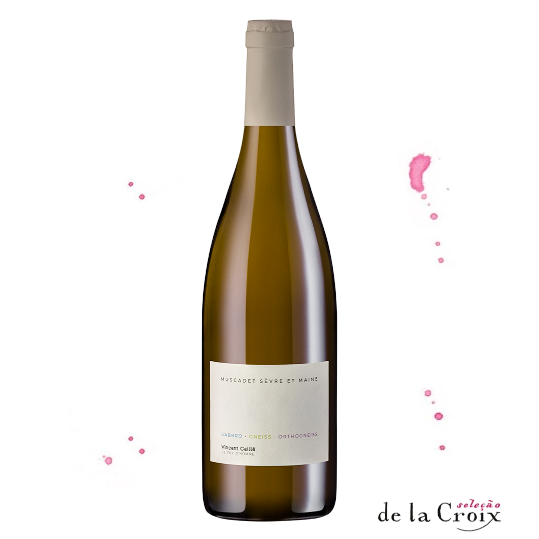 Muscadet Sèvre et Maine, 2024