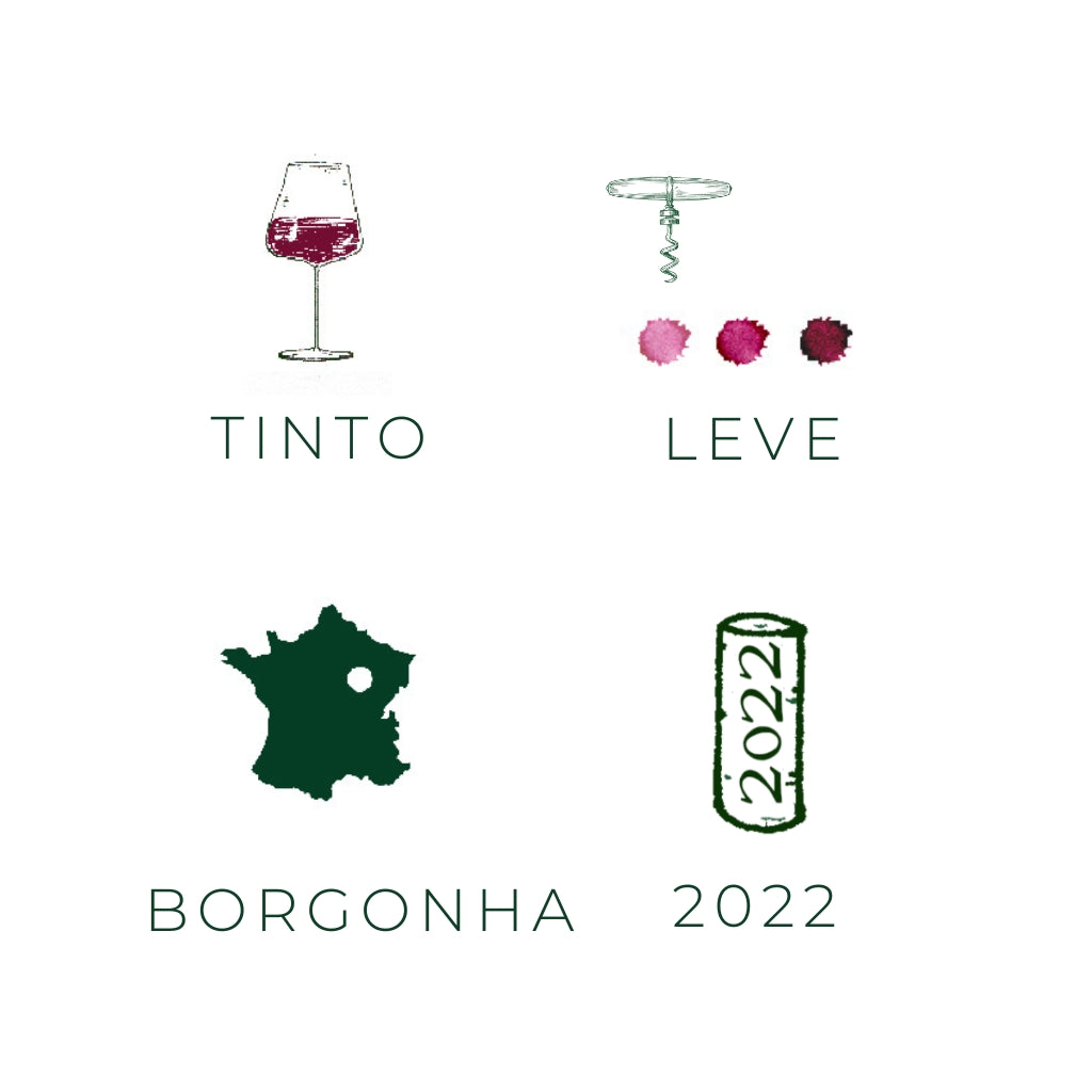 Savigny les Beaune 2017-vinho-tinto-borgonha-franca- catherine et claude marechal
