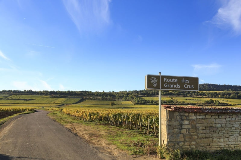 Seu Passaporte para o Mundo dos Vinhos – Aula 3: A França na Taça: Explore suas Regiões mais icônicas – 18/10/2025