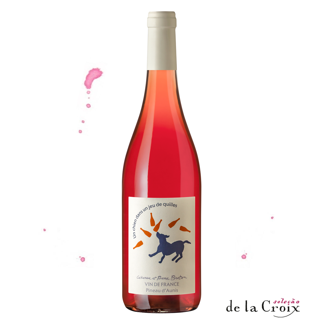 Un chien dans un jeu de Quilles, 2024