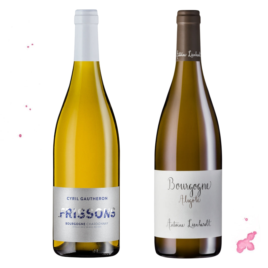 Caixa 1 - Borgonha Fresca & Vívida