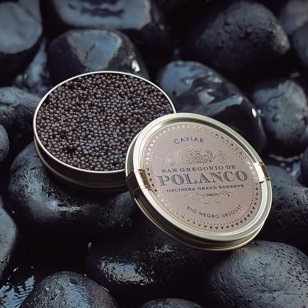 Lata Caviar Polanco - Oscietra Grand Reserve - 50g - Ovas de Esturjão