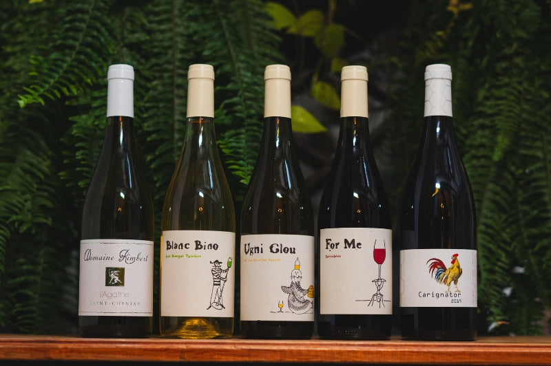 Flight “Rimbert, o poeta vigneron do Languedoc” - 09/08/2025