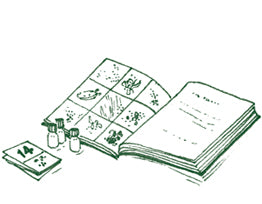 <strong>Material de Estudo</strong>