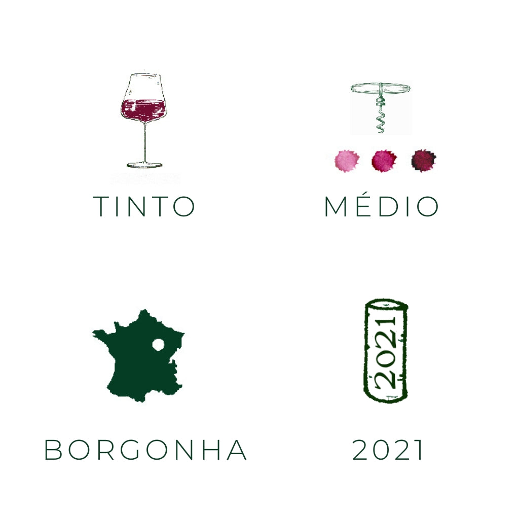 Bourgogne Pinot Noir, 2021
