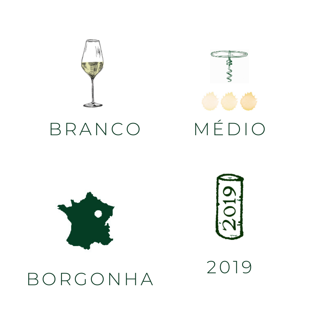 Caracteristicas-vinhos-franceses-branco-medio-Borgonha-Bourgogne-2019