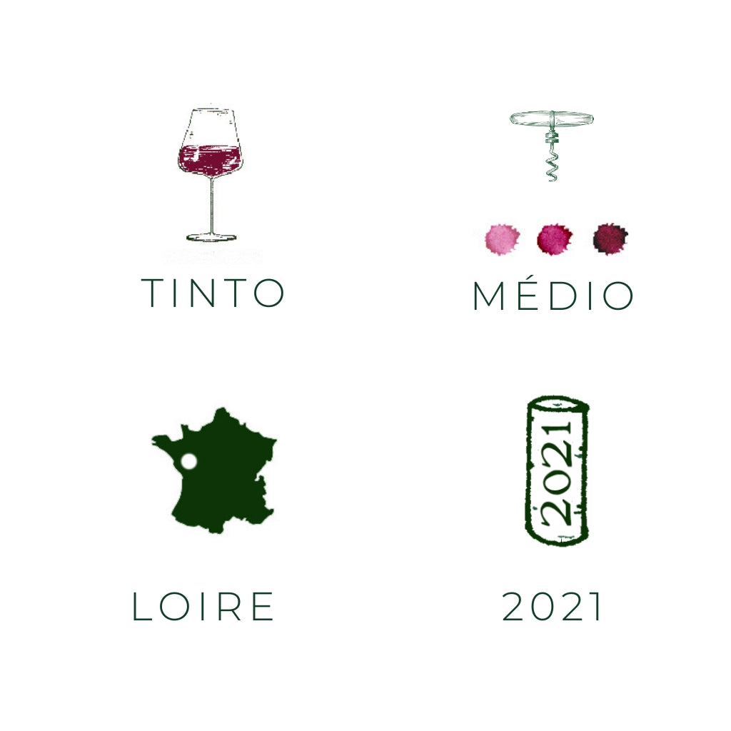 Domaine Philippe Tessier Cheverny rouge 2020 vinho tinto da região Loire