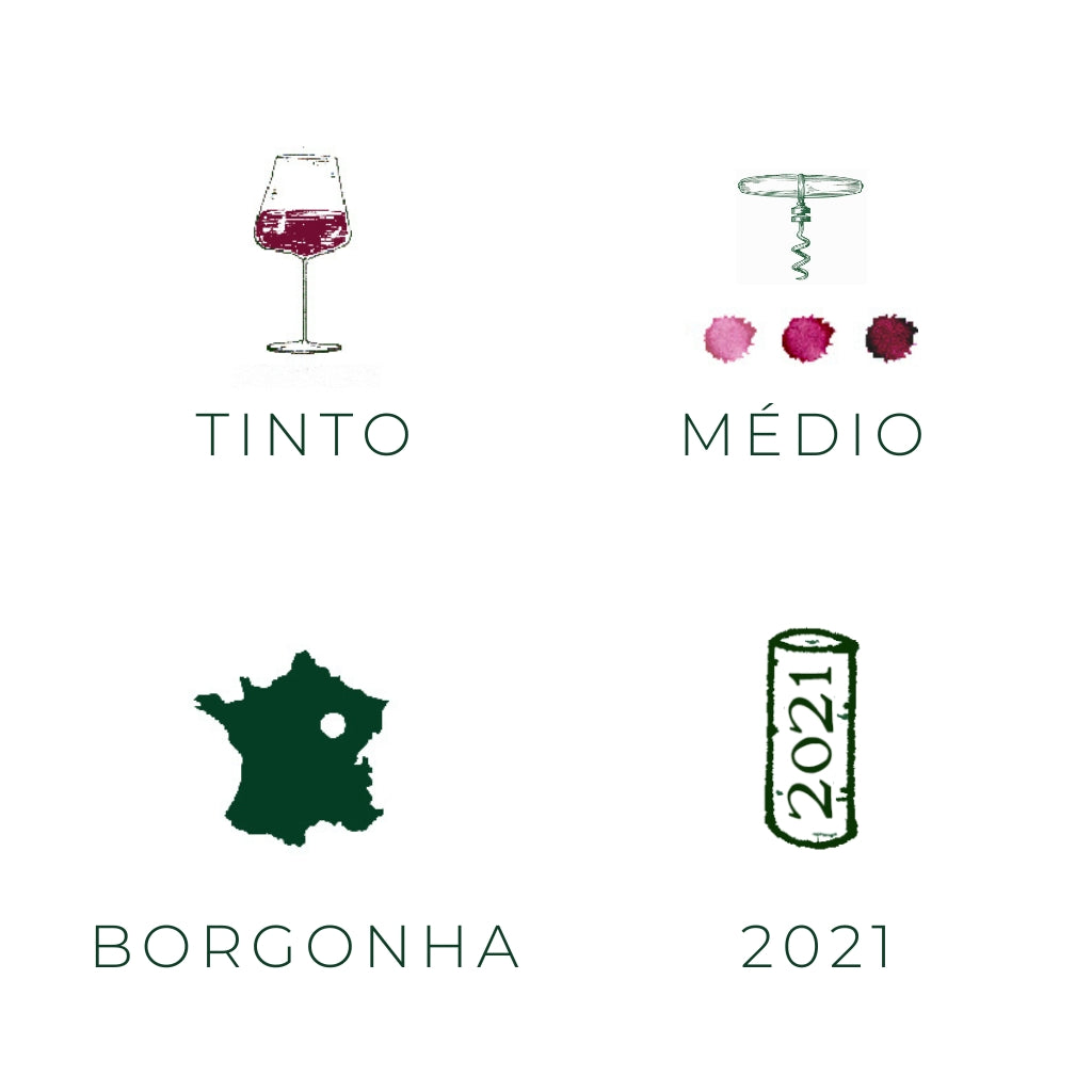 Nuits Saint George Rouge, 2021