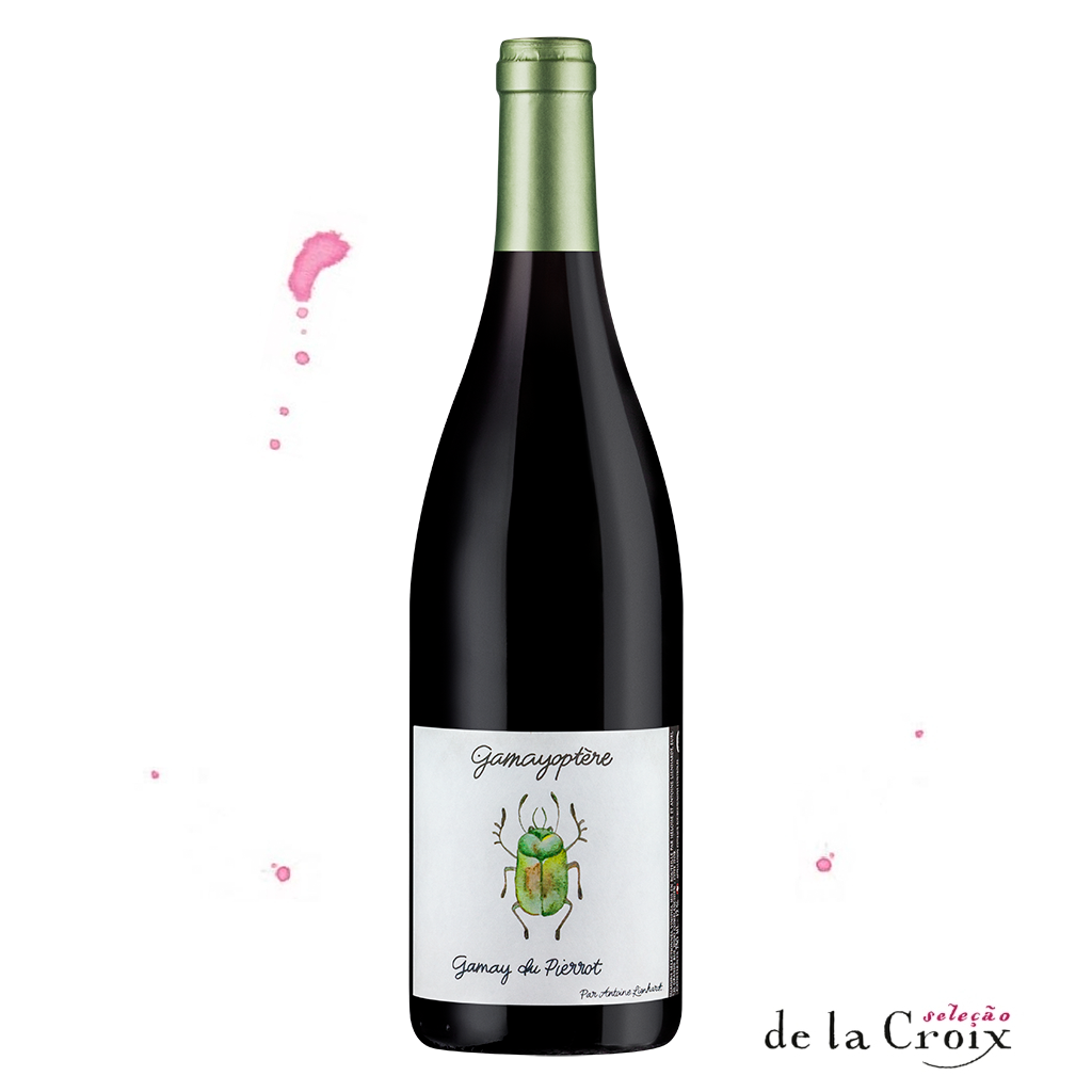 gamayoptere-2018-1015-vinho-tinto-bourgogne-borgonha