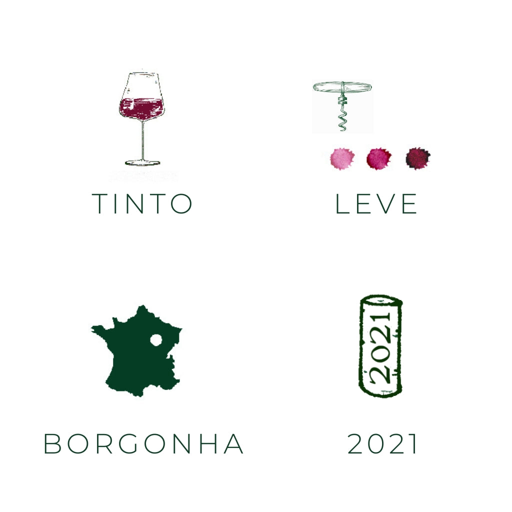 gamayoptere-2018-1015-vinho-tinto-bourgogne-borgonha