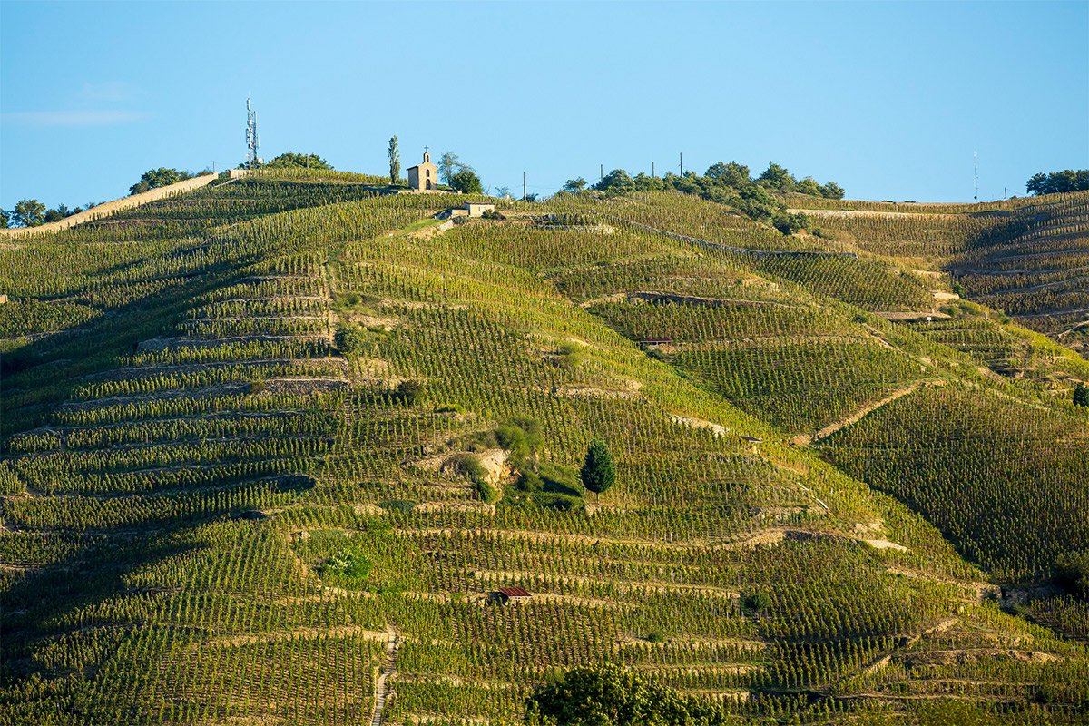Aula degustação Rhône Sul vinhos franceses