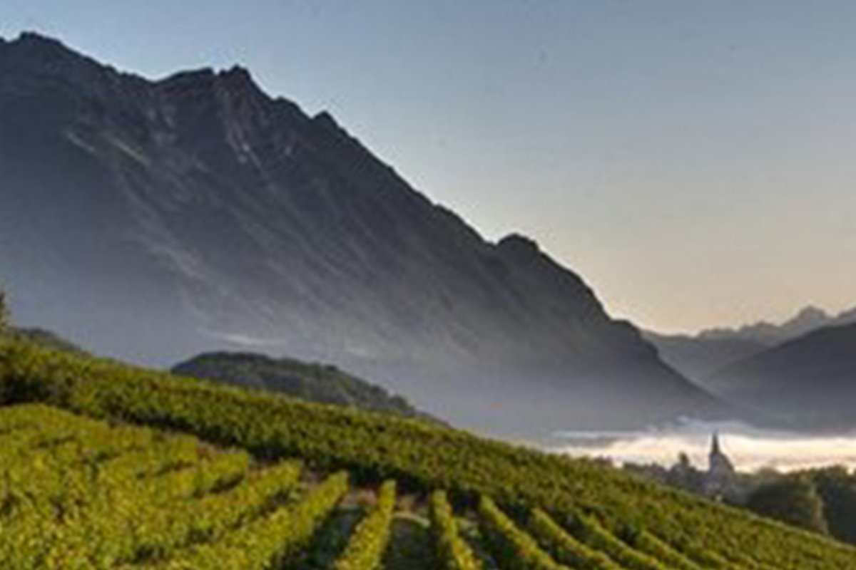 Região Savoie vinhos franceses