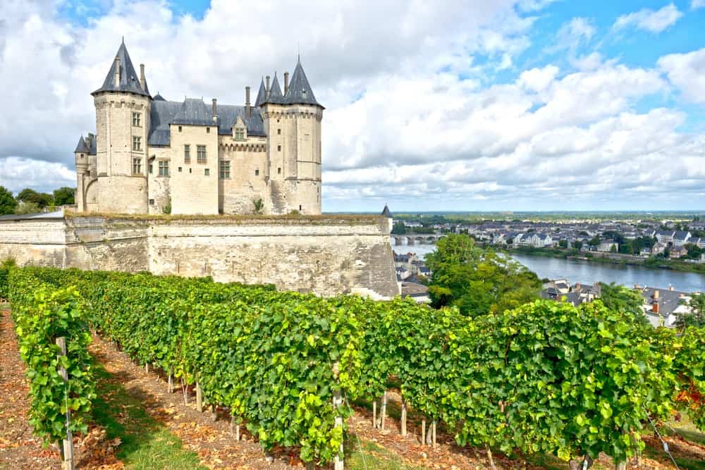 Degustação Aula Loire entre terra e mar: os tintos - 08/02/2022