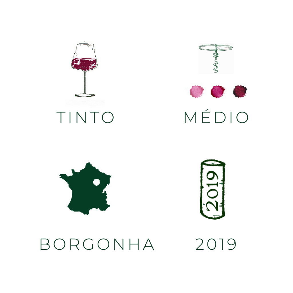 Volnay, 2019